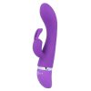 Intenzivní veselý vibrator fialový luxus – kvalitní intimní kosmetika