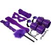 EXPERIENCE - BDSM FETISH KIT FIALOVÁ ŘADA